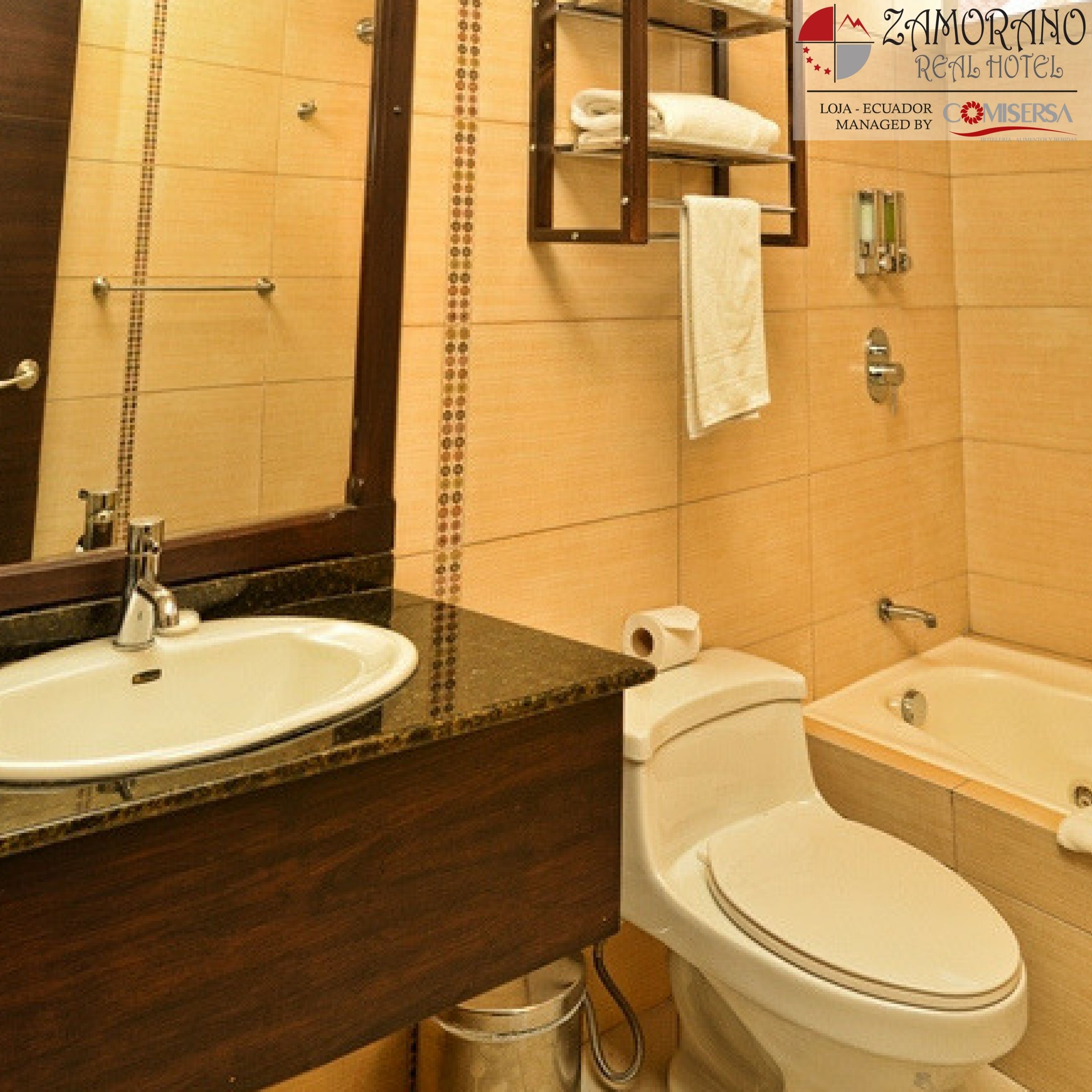 combined shower/bathtub, free toiletries, hair dryer, towels