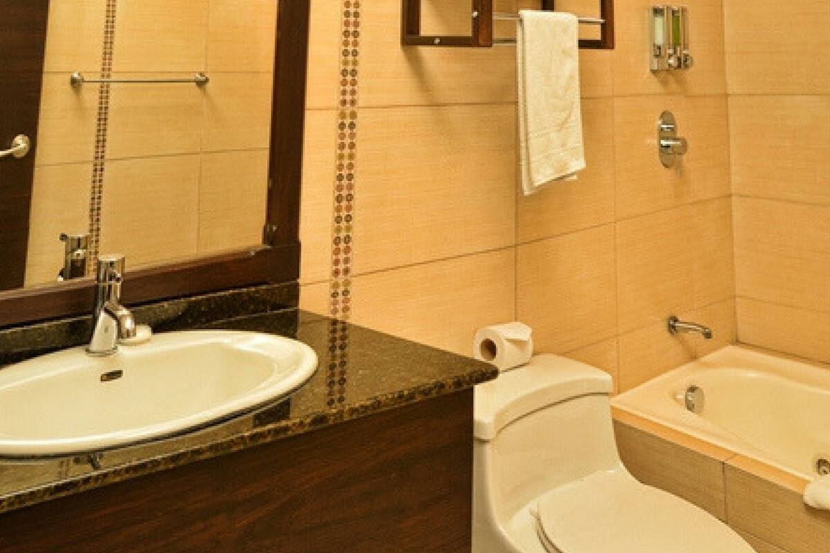 combined shower/bathtub, free toiletries, hair dryer, towels