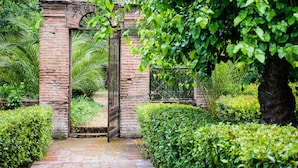 Un arco de ladrillo con una verja de metal que da paso a un jardín exuberante con diversas plantas y un árbol.