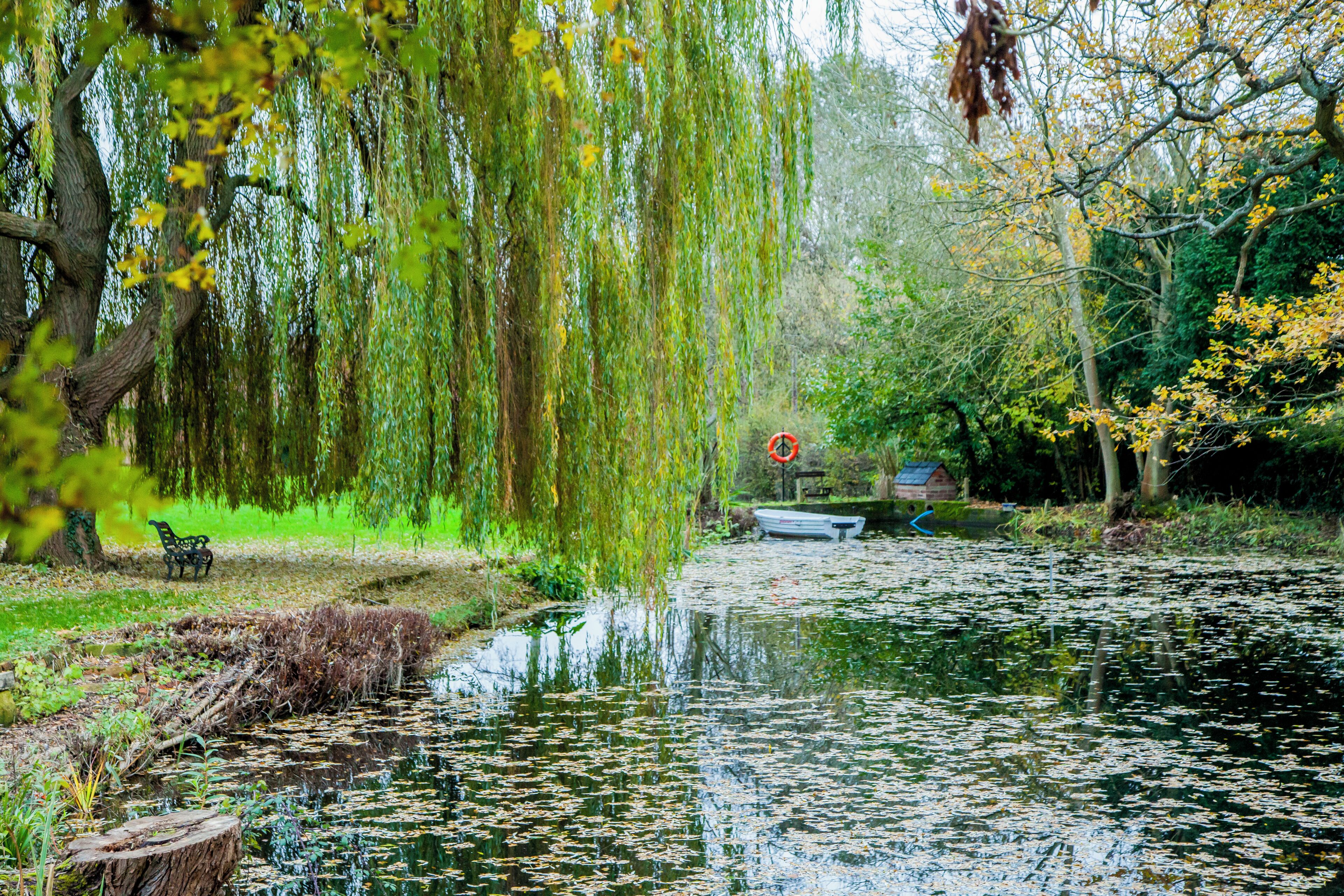 Ein friedlicher Park mit Teich, Bänken und Bäumen.