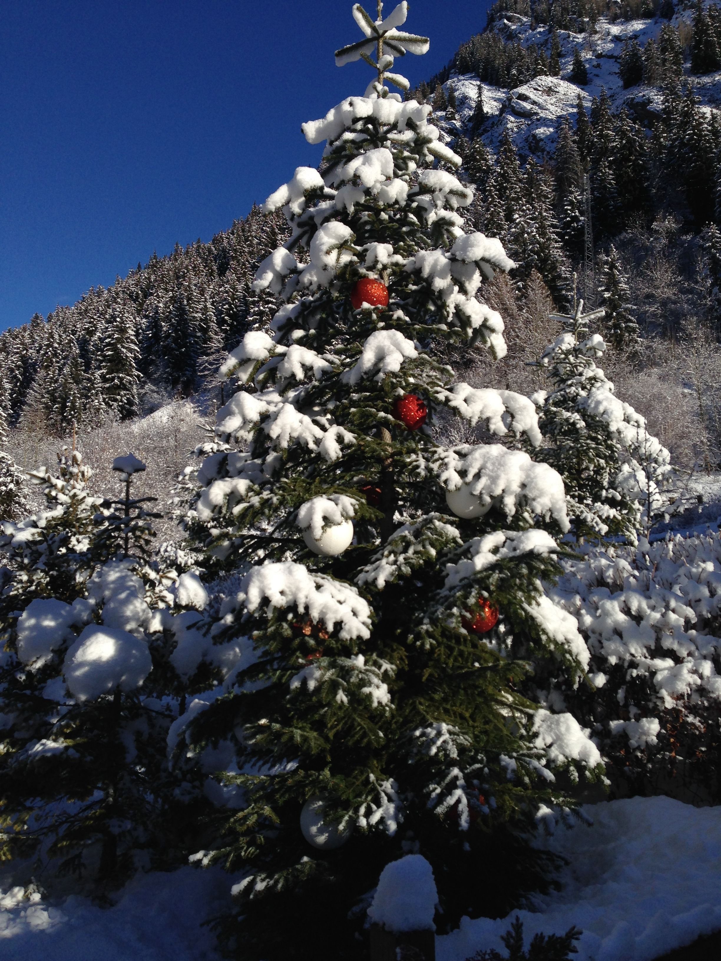 Un árbol de Navidad cubierto de nieve con adornos, con montañas al fondo.