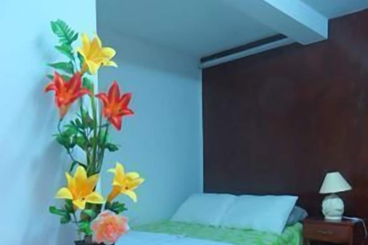 Casa adosada Business, 1 cama doble, baño privado | Wifi gratis