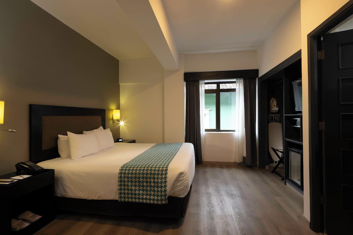 A hotel room with a large bed, bedside table, lamp, and a view of the outside through a window.