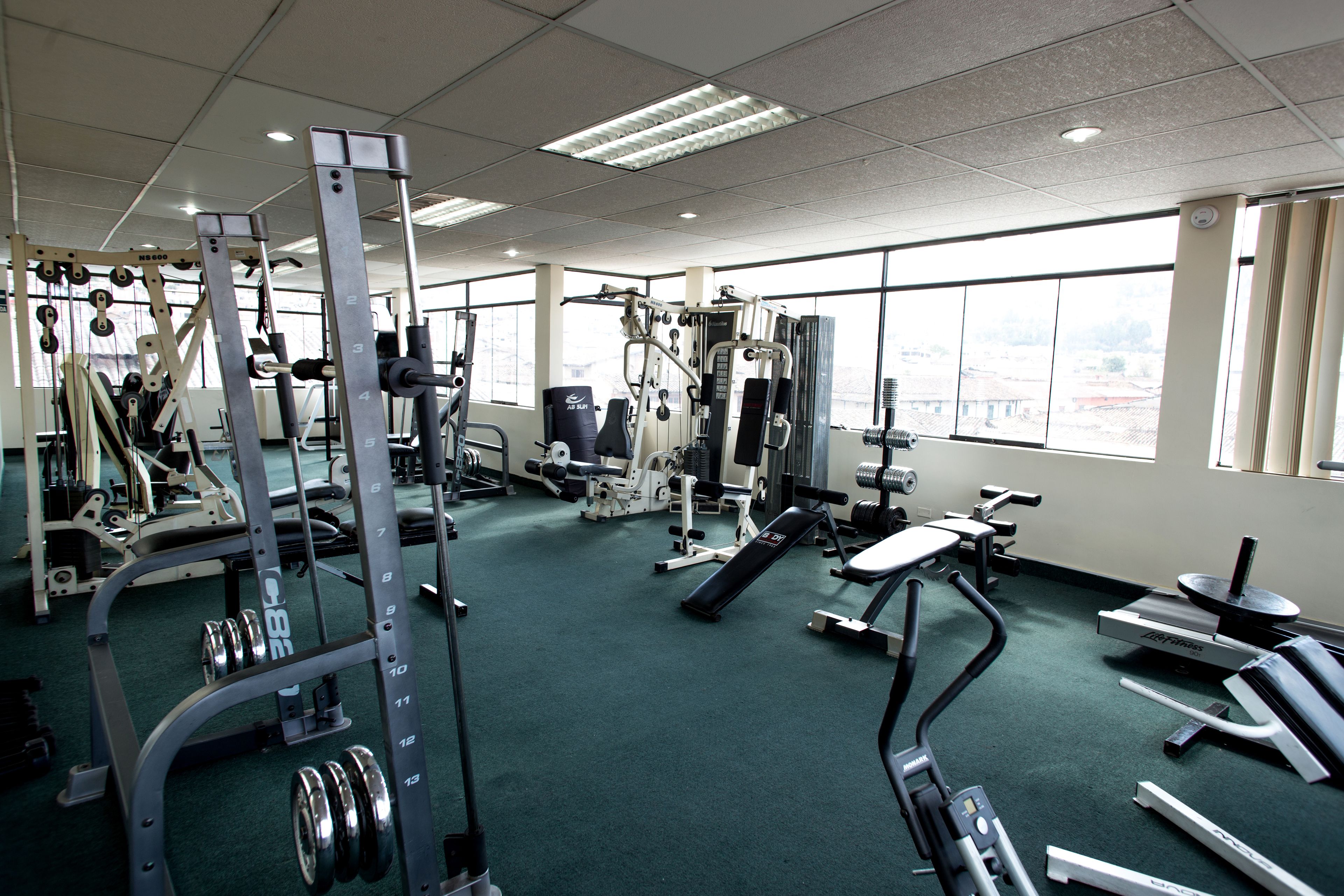 A gym with various exercise equipment, large windows, and a green carpet.