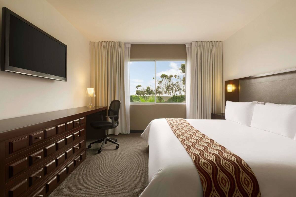 A hotel room with a large bed, a desk, a chair, a TV mounted on the wall, and a window with a view of trees.