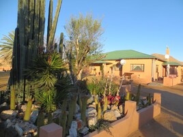 Un edificio con techo verde, una zona de recepción y cactus en primer plano.