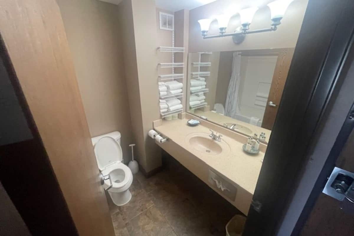 combined shower/bathtub, free toiletries, hair dryer, towels