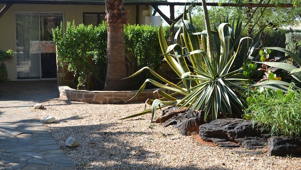 Ein Garten mit einer Palme, Agave und verschiedenen Sträuchern.