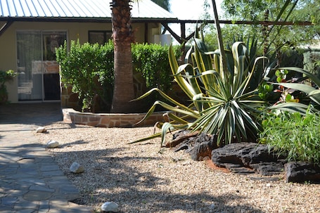 A garden with a palm tree, agave, and various shrubs.