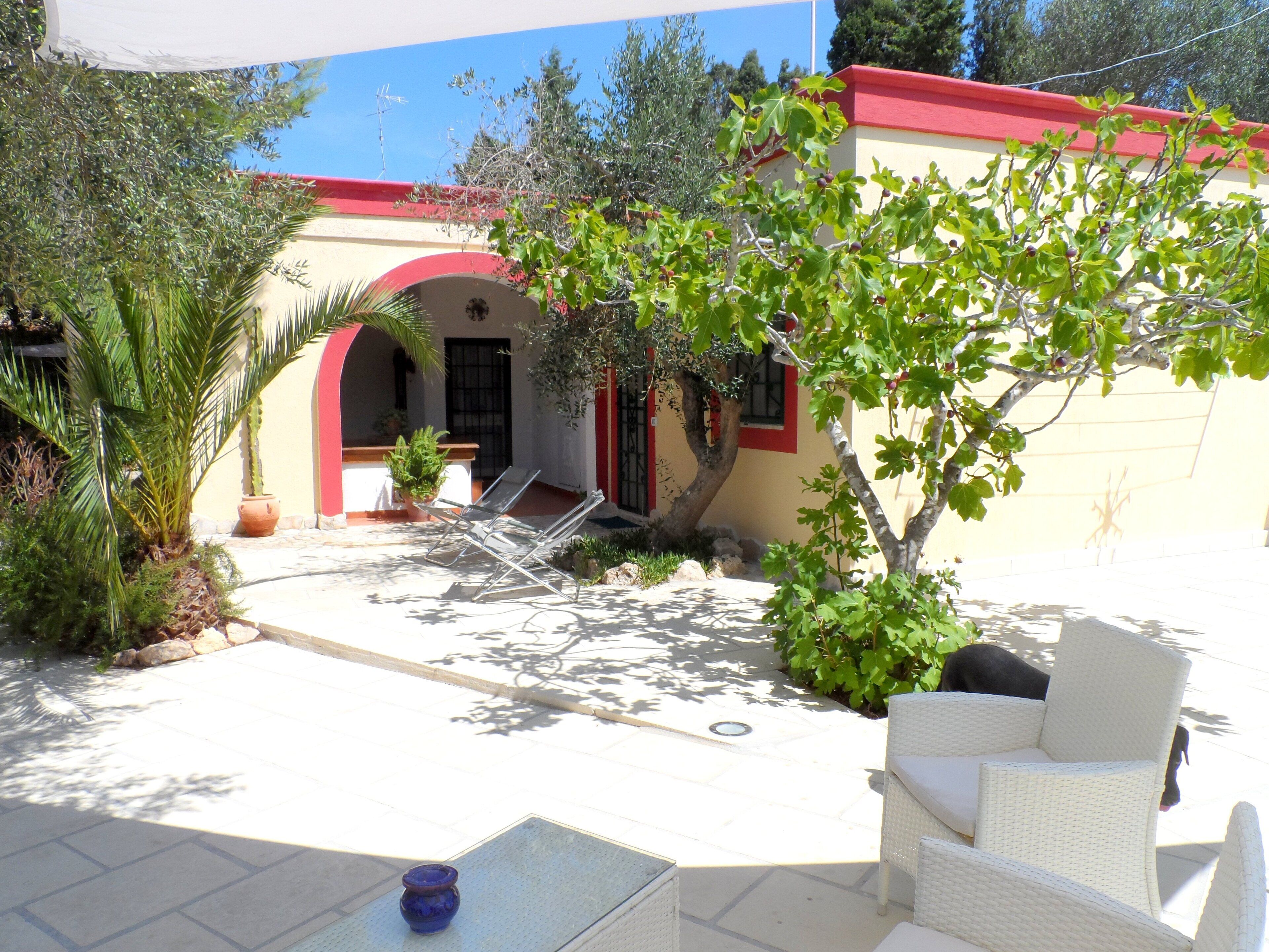 Un patio con mobiliario exterior, una planta en maceta y un árbol.