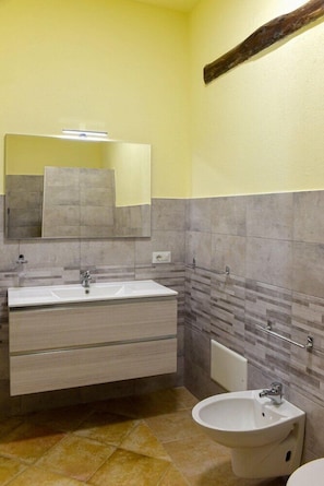Hair dryer, bidet, towels