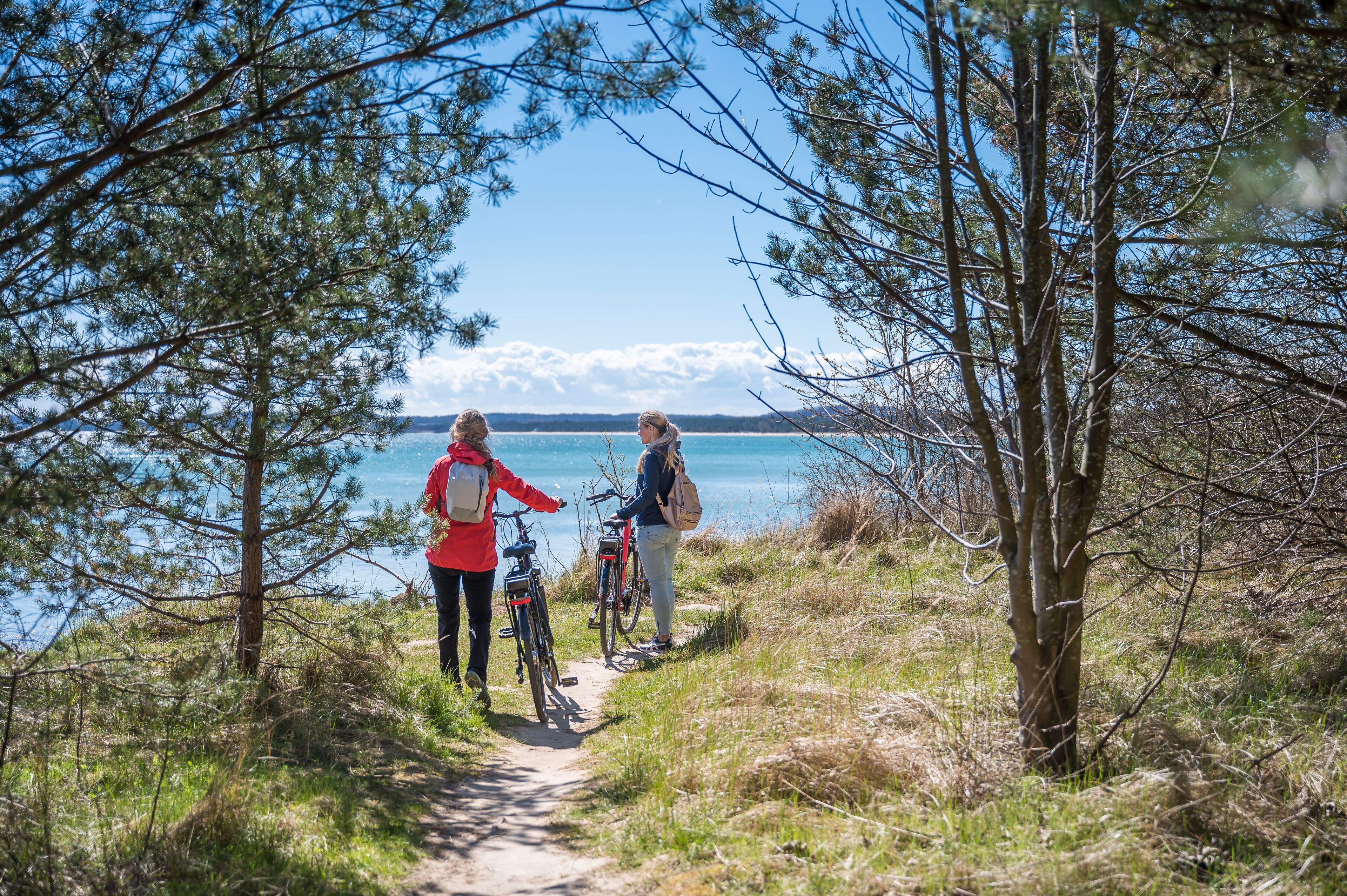 Ein Weg, der zu einem See führt, mit zwei Fahrrädern und zwei Personen.