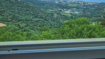 Vistas desde la habitación