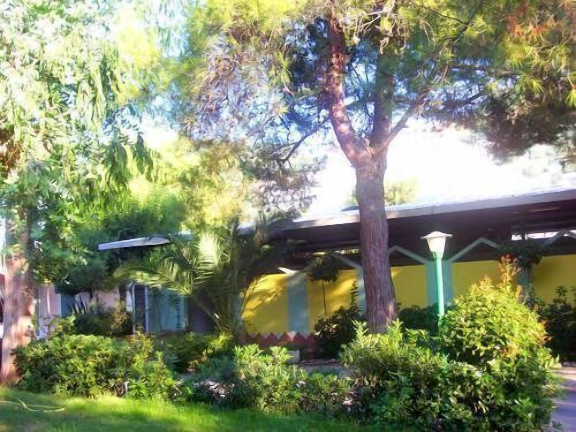 A courtyard with a tree, a lamp post, and a building with a yellow facade.
