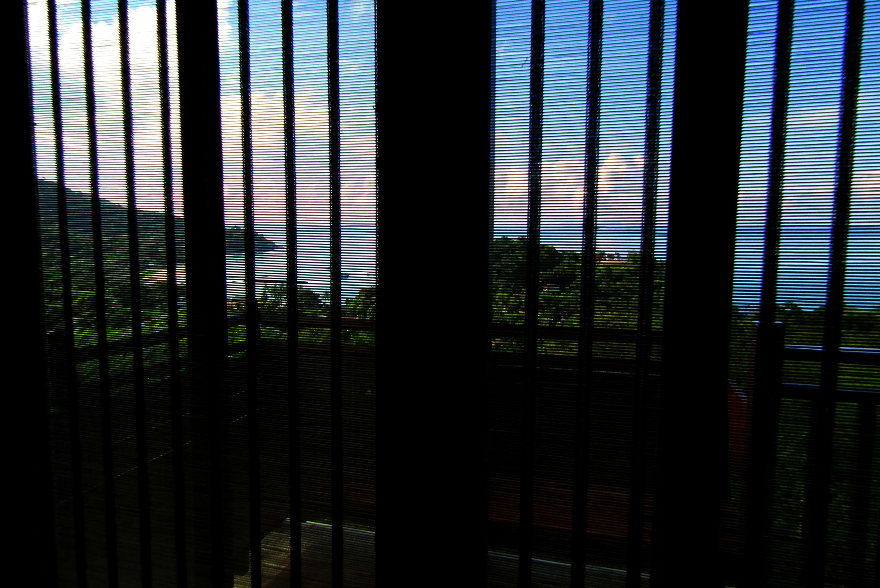 A view through window blinds with a landscape visible outside.