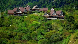 Un groupe de maisons aux toits en pente, entourées d’une forêt dense.