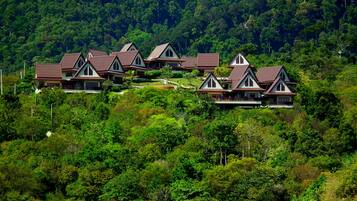 Pemandangan dari udara