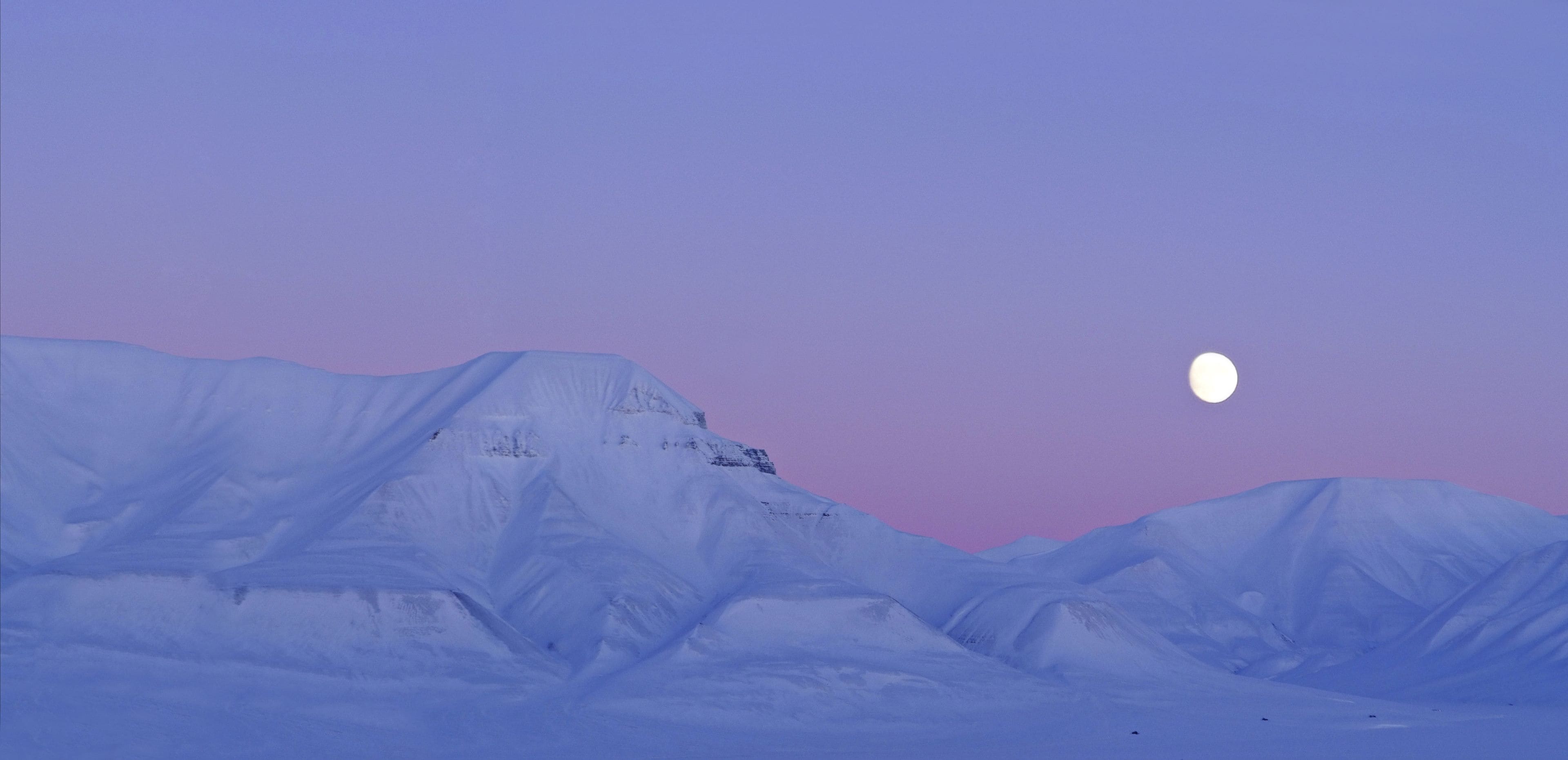 Un paisaje nevado con una luna grande y destacada en el cielo.