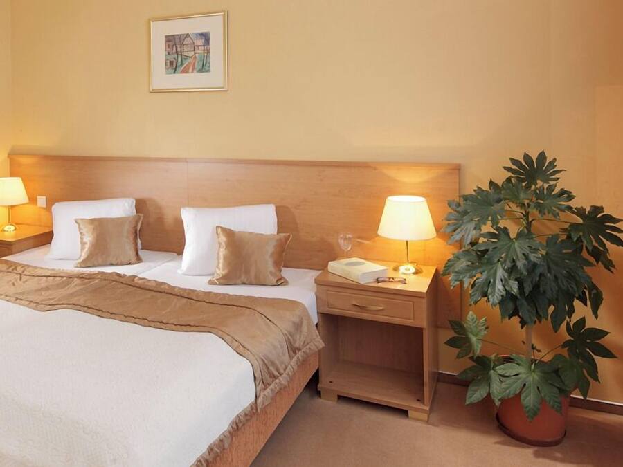 A hotel room with a bed, two bedside tables with lamps, a nightstand with a book and glasses, a potted plant, and a framed picture on the wall.