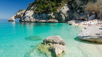 Servizio della struttura