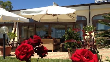 Terras