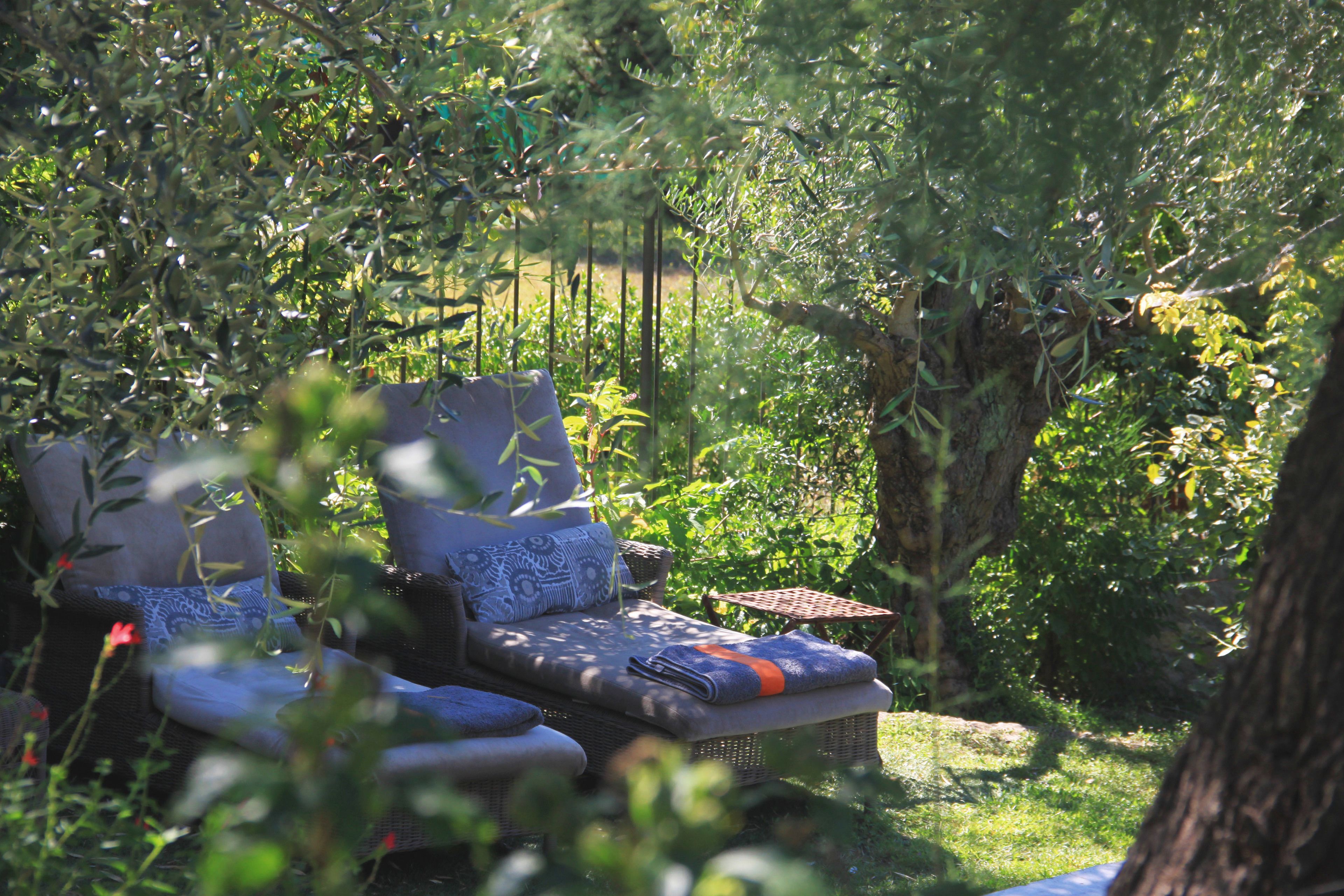 A garden with two wicker lounge chairs and a small table, surrounded by lush greenery and trees.