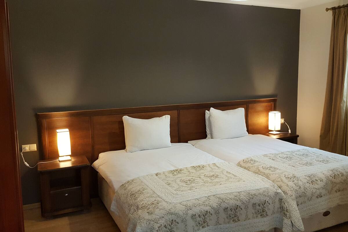 Standard Twin Room | Minibar, blackout drapes, WiFi (free), individually decorated