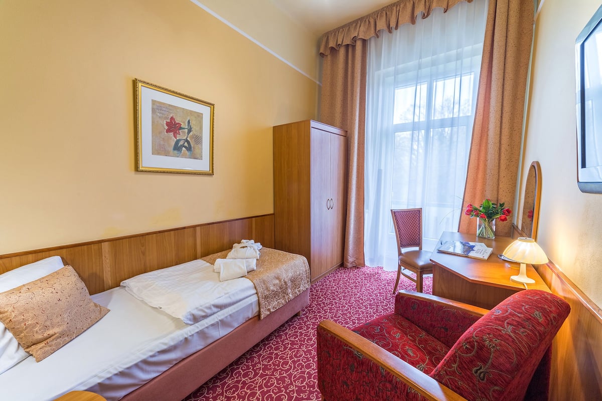 Standaard eenpersoonskamer | Een minibar, een kluis op de kamer, een bureau, gratis wifi