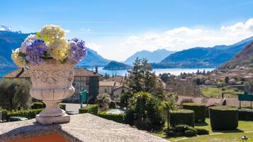 Vista desde la propiedad