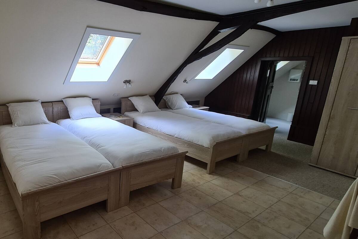 Een slaapkamer met twee bedden, een dakraam, houten balken en een schilderij aan de muur.
