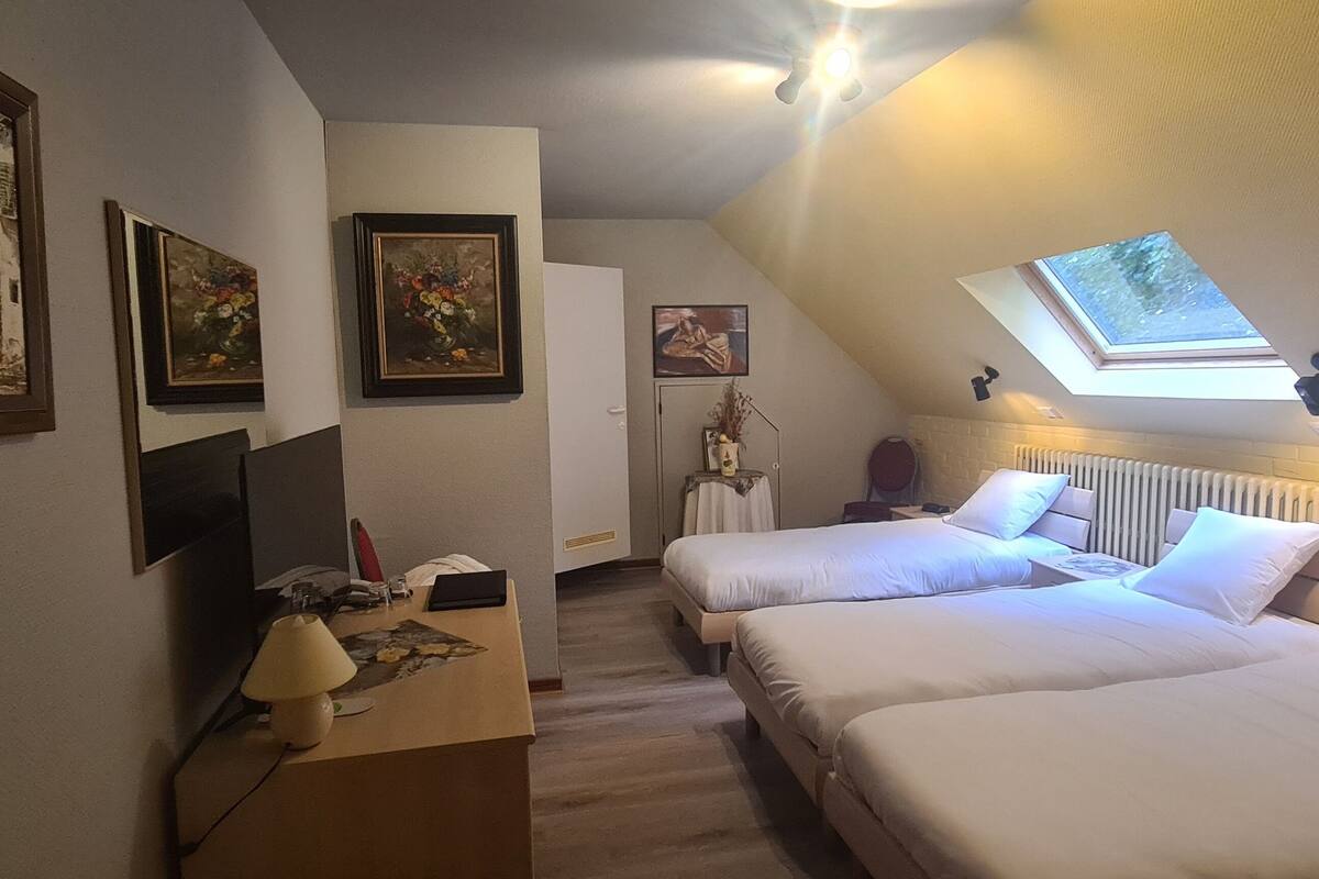 Een slaapkamer met twee bedden, een bureau met lamp, lijstwerken aan de muren en een dakraam.