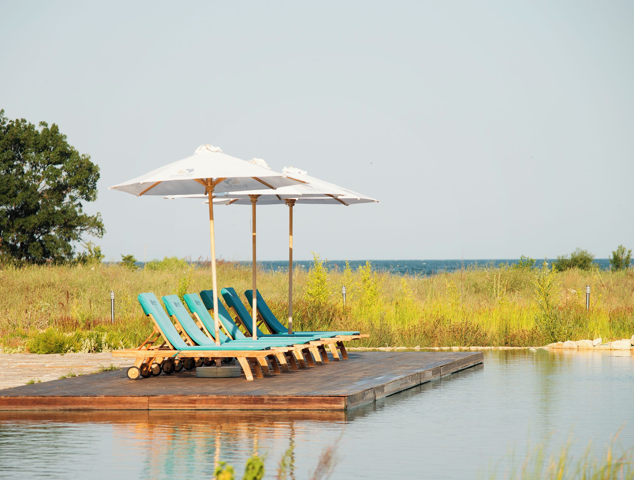 Un área junto a la piscina con sillones de descanso y sombrillas.