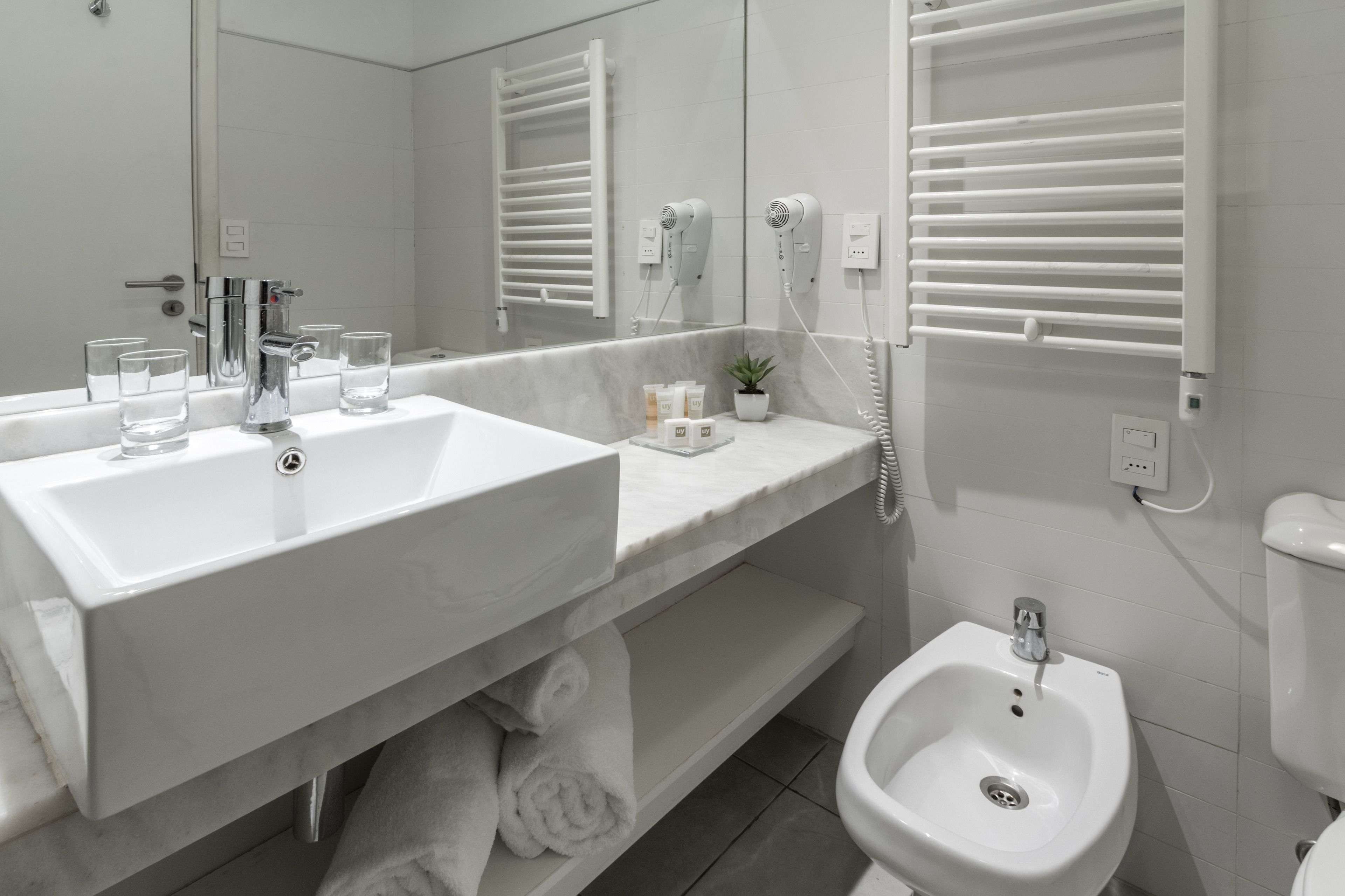 A modern bathroom with a large sink, a bidet, and a mirror.