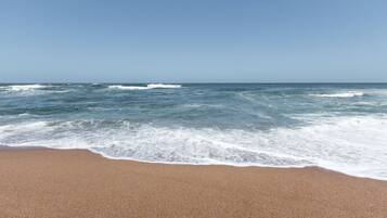Playa en los alrededores