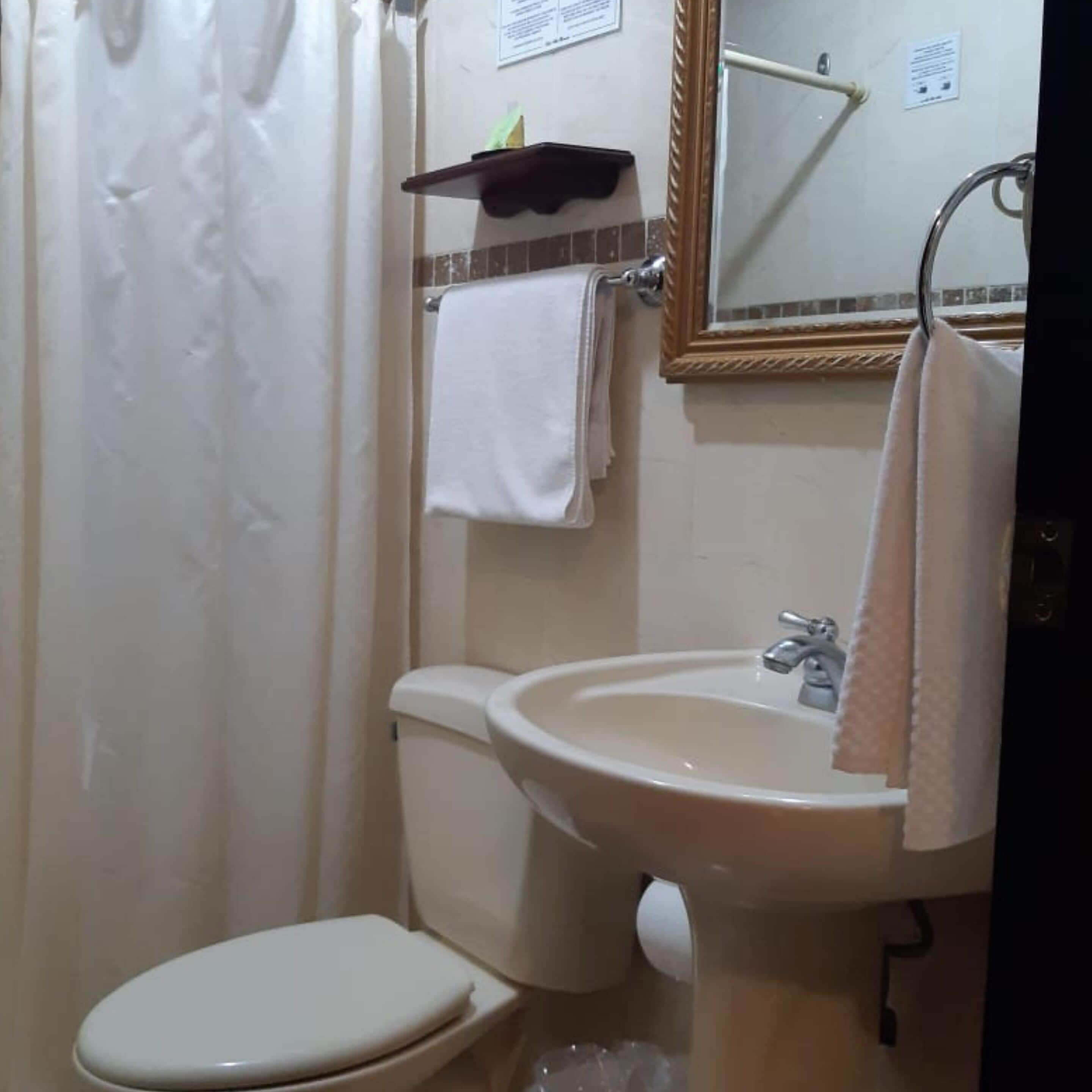 Foto - Hotel Villa Florencia Zona Rosa