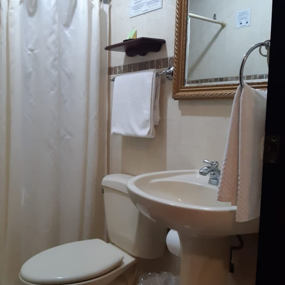 Hotel Villa Florencia Zona Rosa by null