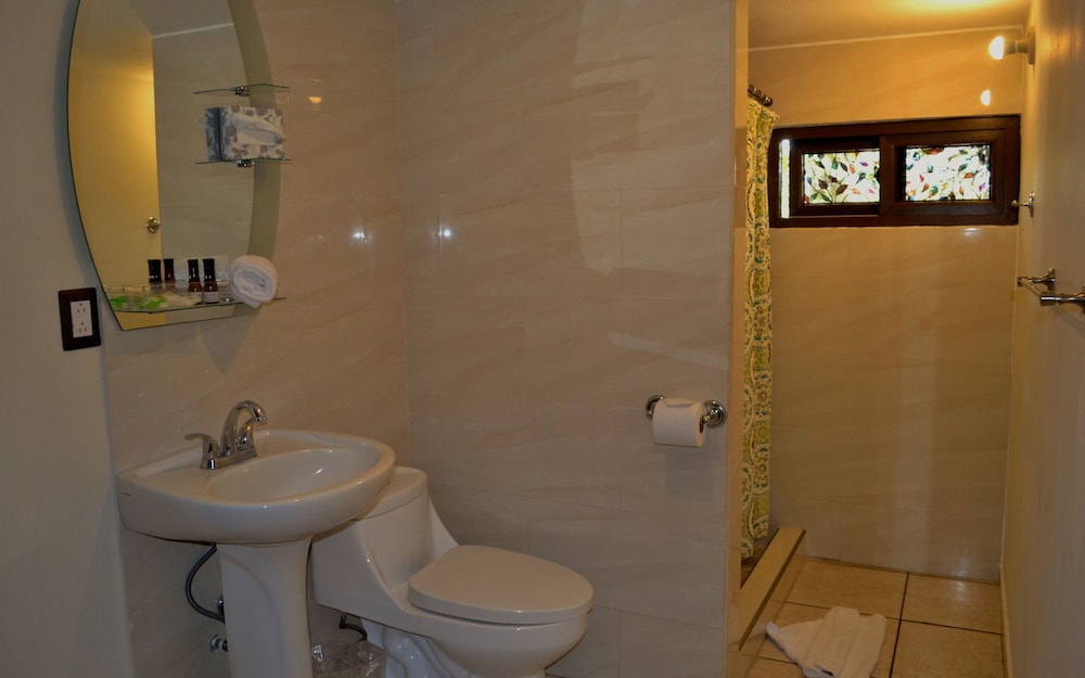 Hotel Villa Florencia Zona Rosa by null