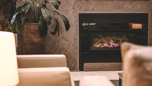 A living room with a fireplace, a sofa, and a potted plant. - Nesuto Pennant Hills (Pennant Hills)