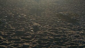 A beach with the sun setting in the background. - Traveler Hotel (Taitung)