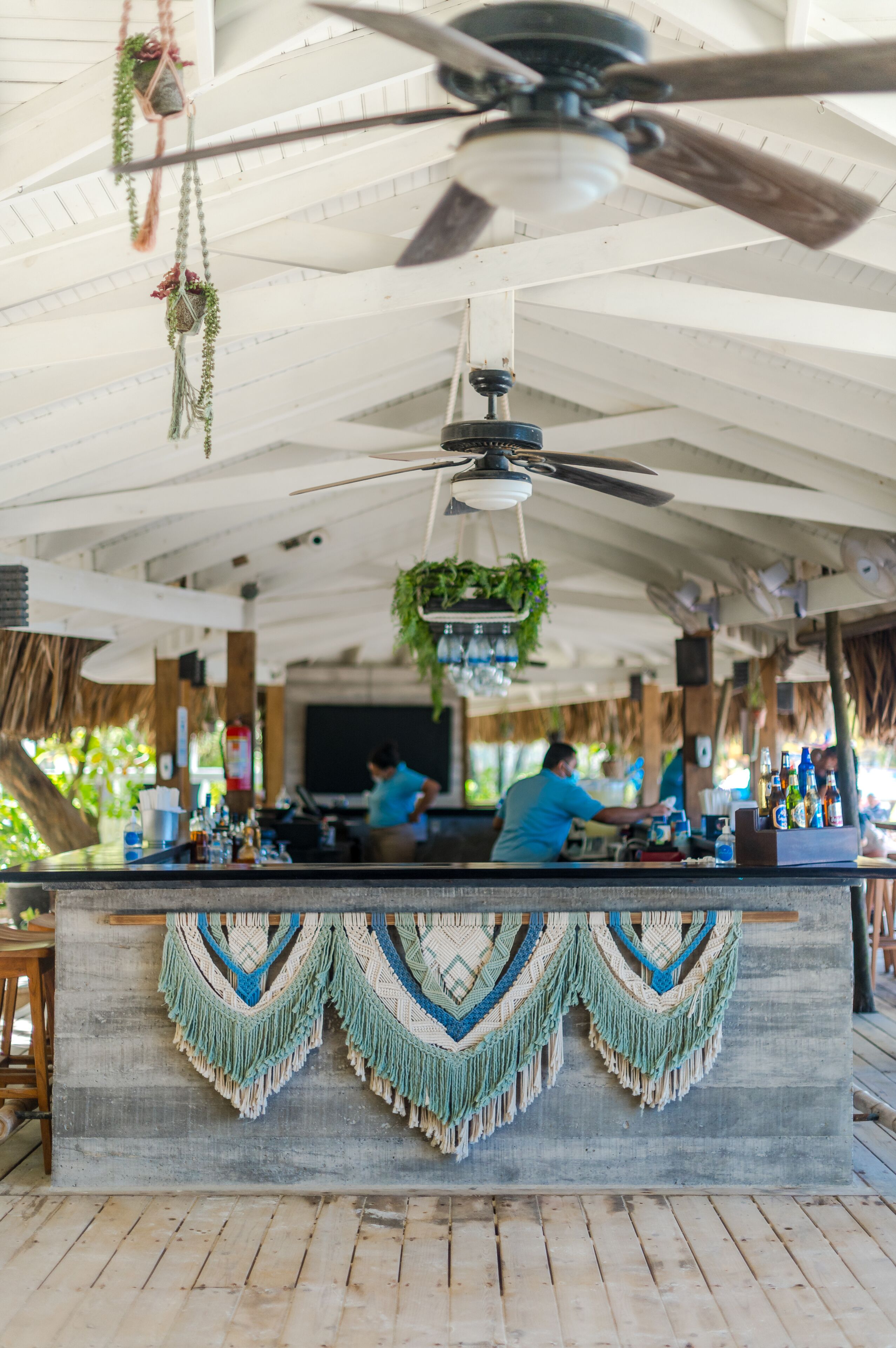 Eine Bar mit Deckenventilator, hängenden Pflanzen und einer Theke mit dekorativer Bordüre.
