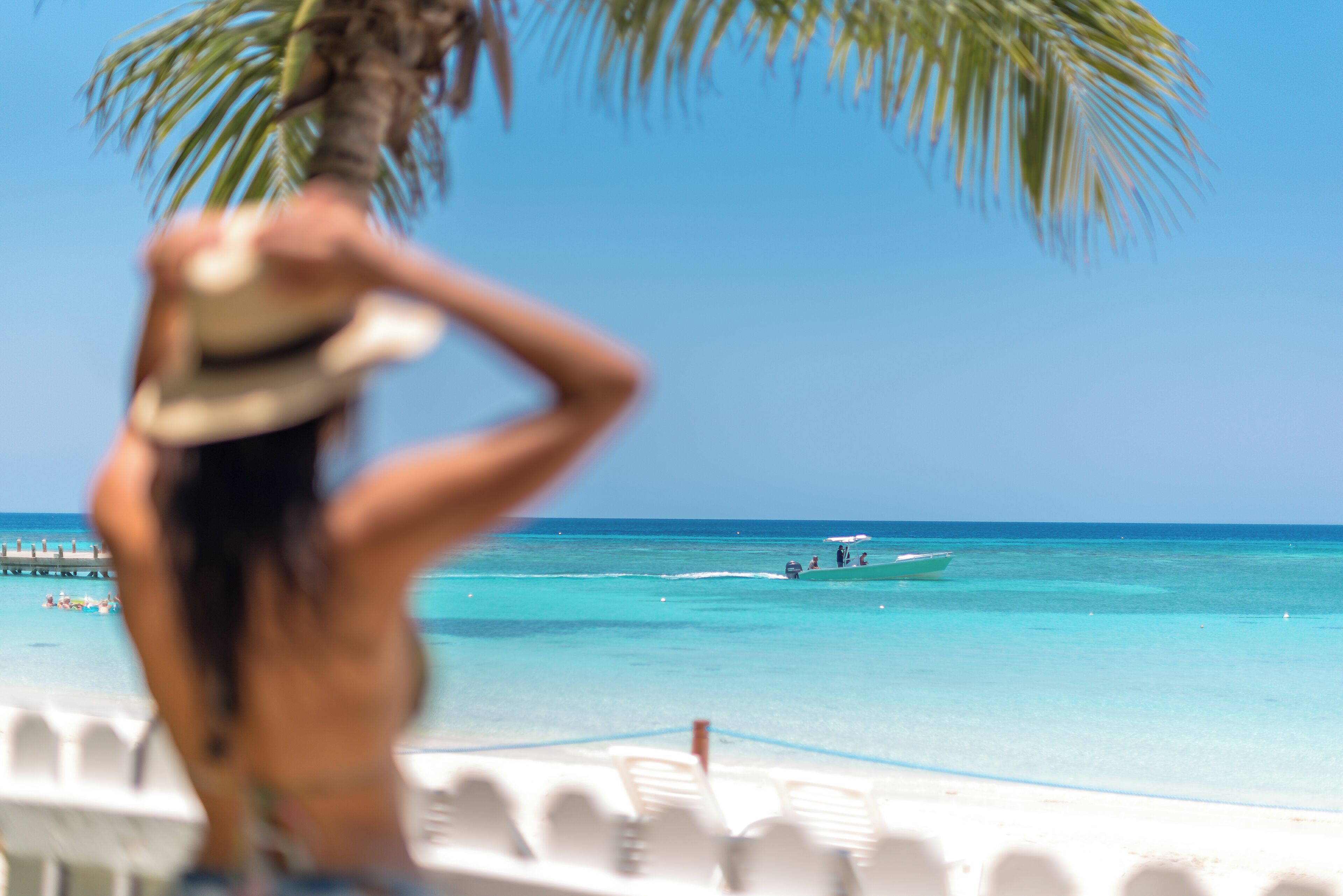 A beach scene with a palm tree, a boat, and a person in the foreground.