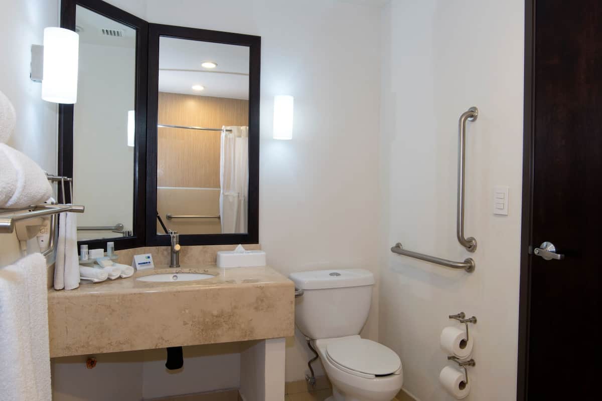 standard room, 1 king bed, accessible | bathroom | shower, hydromassage showerhead, hair dryer, towels