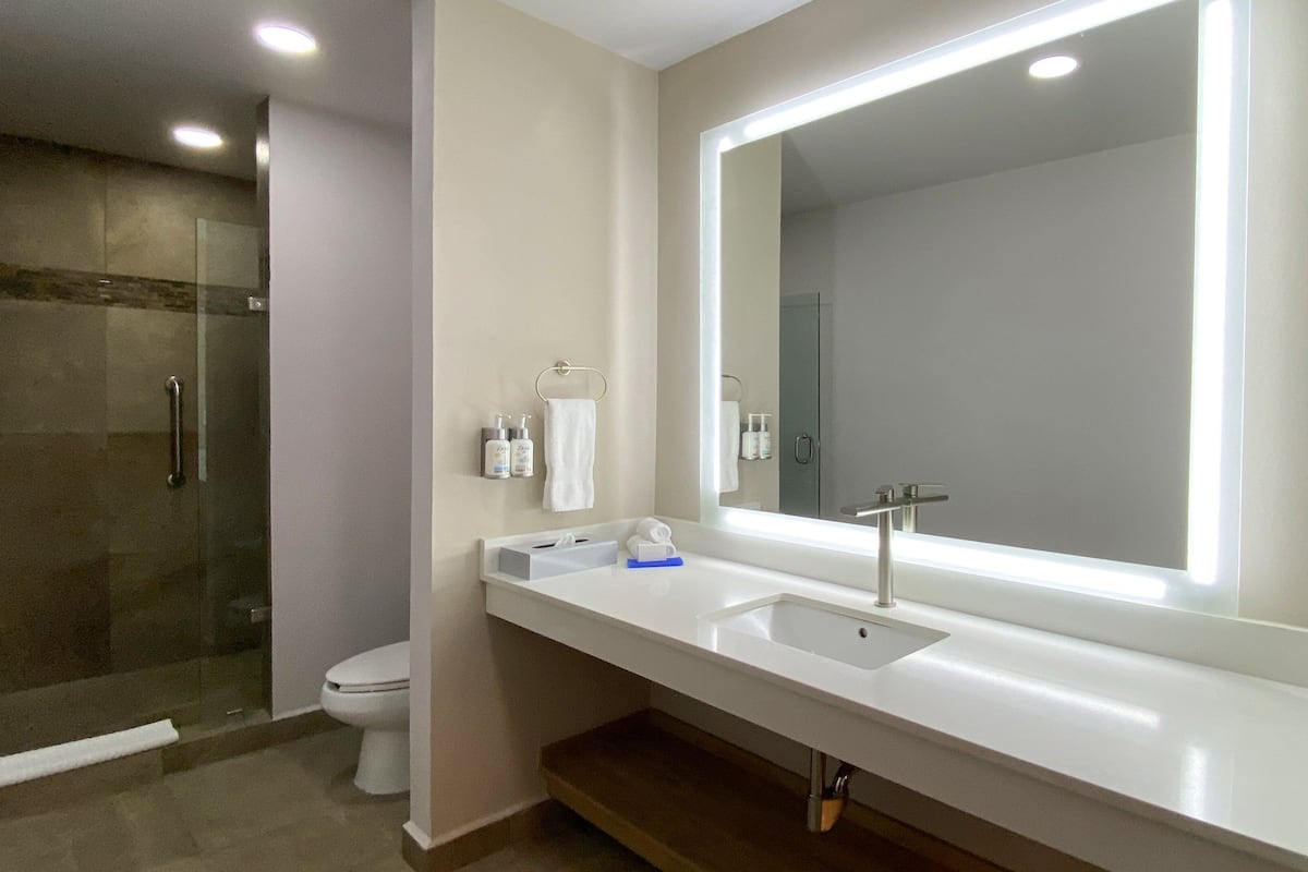 suite, 1 king bed (top floor) | 1 bedroom, premium bedding, in-room safe, desk