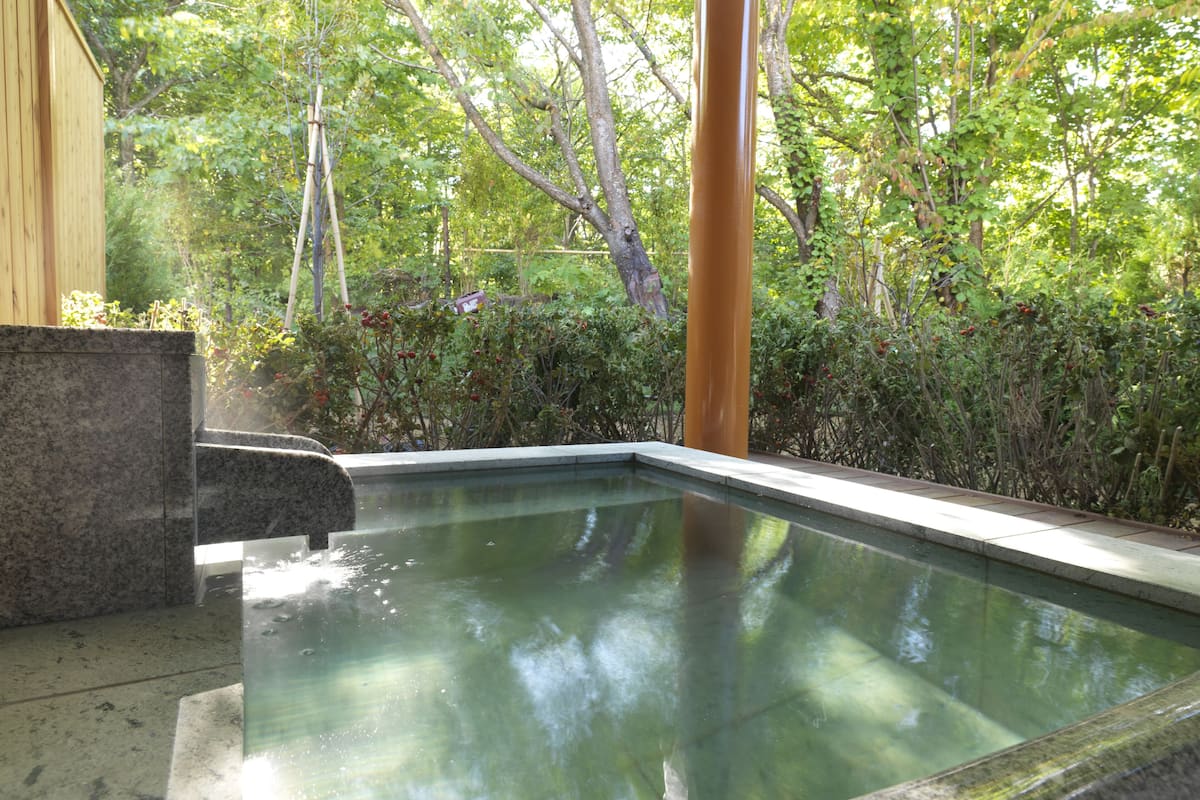 free toiletries, hair dryer, slippers, bidet