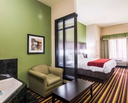 Suite, 1 King Bed with Sofa bed, Accessible, Non Smoking | Pillowtop beds, desk, iron/ironing board, free WiFi