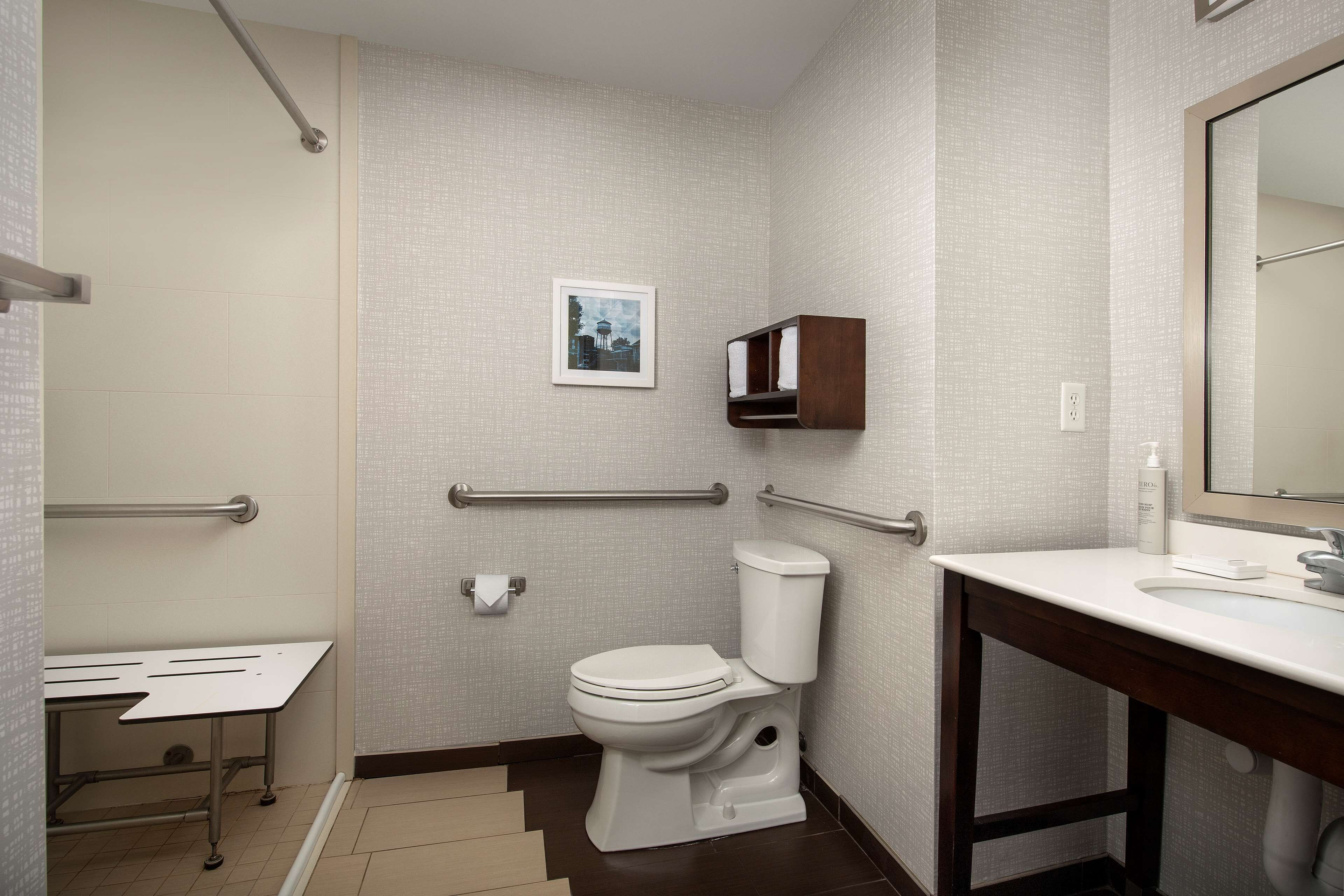 room, 1 king bed, accessible (mobility/hearing, roll-in shower) | bathroom shower