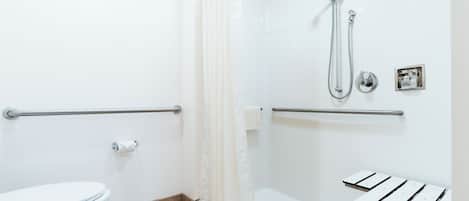 Ein modernes Badezimmer mit Toilette, Dusche und Haltegriffen.