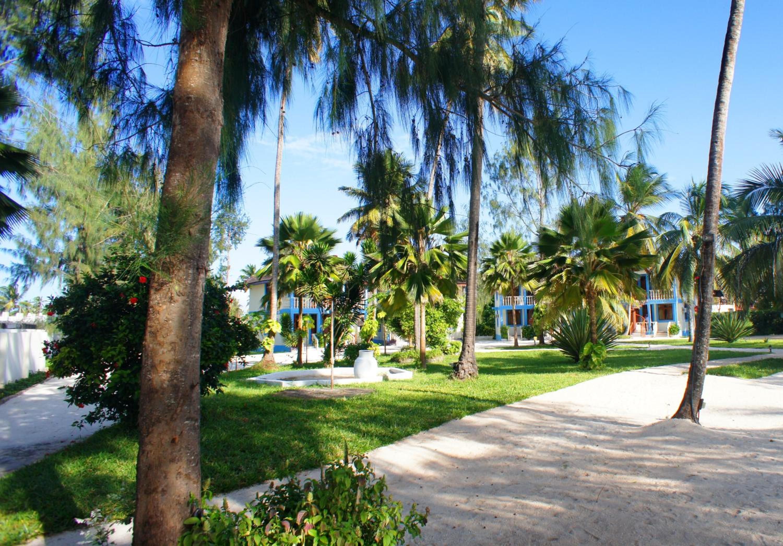 A pathway lined with palm trees and a building with blue and white exterior walls.