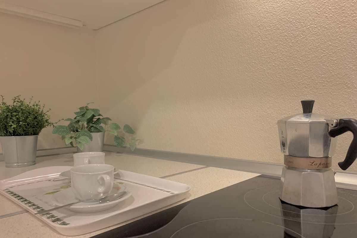 Apartment, 1 Bedroom, City View | Private kitchen | Fridge, stovetop, coffee/tea maker, electric kettle