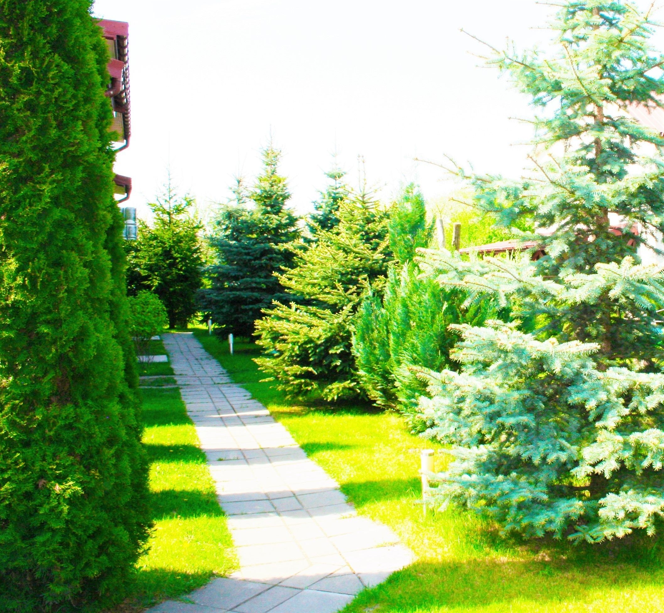 Zona de parrillas o pícnic